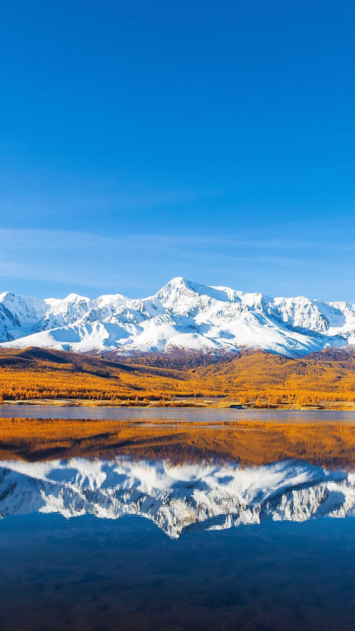  免备案服务器:3分钟快速部署,解锁全球极速访问!